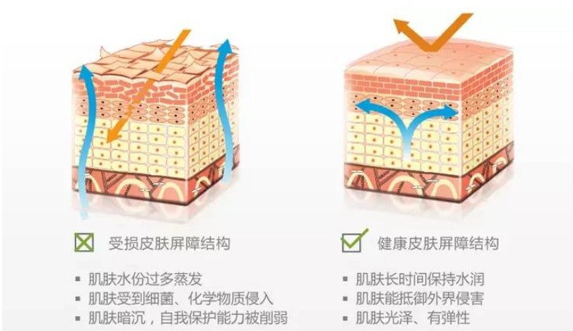 1609925204882924TpsR.jpg 1609925204882924TpsR.jpg